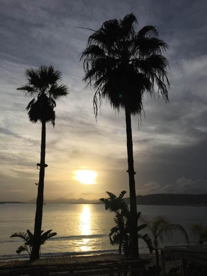 Vue Mer Juan Les Pins Antibes Dış mekan fotoğraf