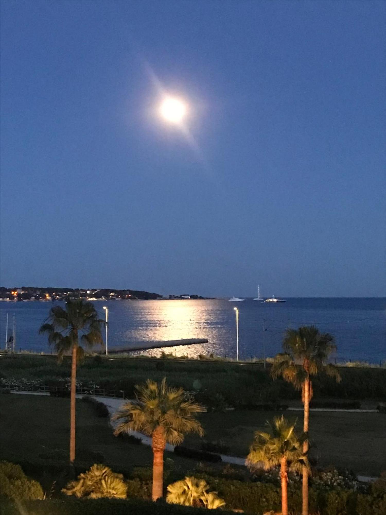 Vue Mer Juan Les Pins Antibes Dış mekan fotoğraf